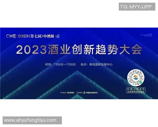 重磅专题：探秘北京飞盘队的盯防策略与战术创新之路